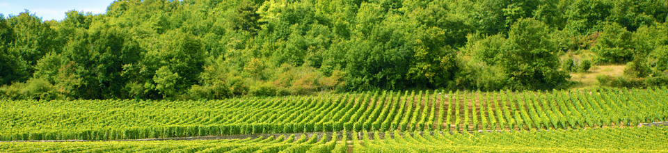 Lous Escagaròls Nogaroulès